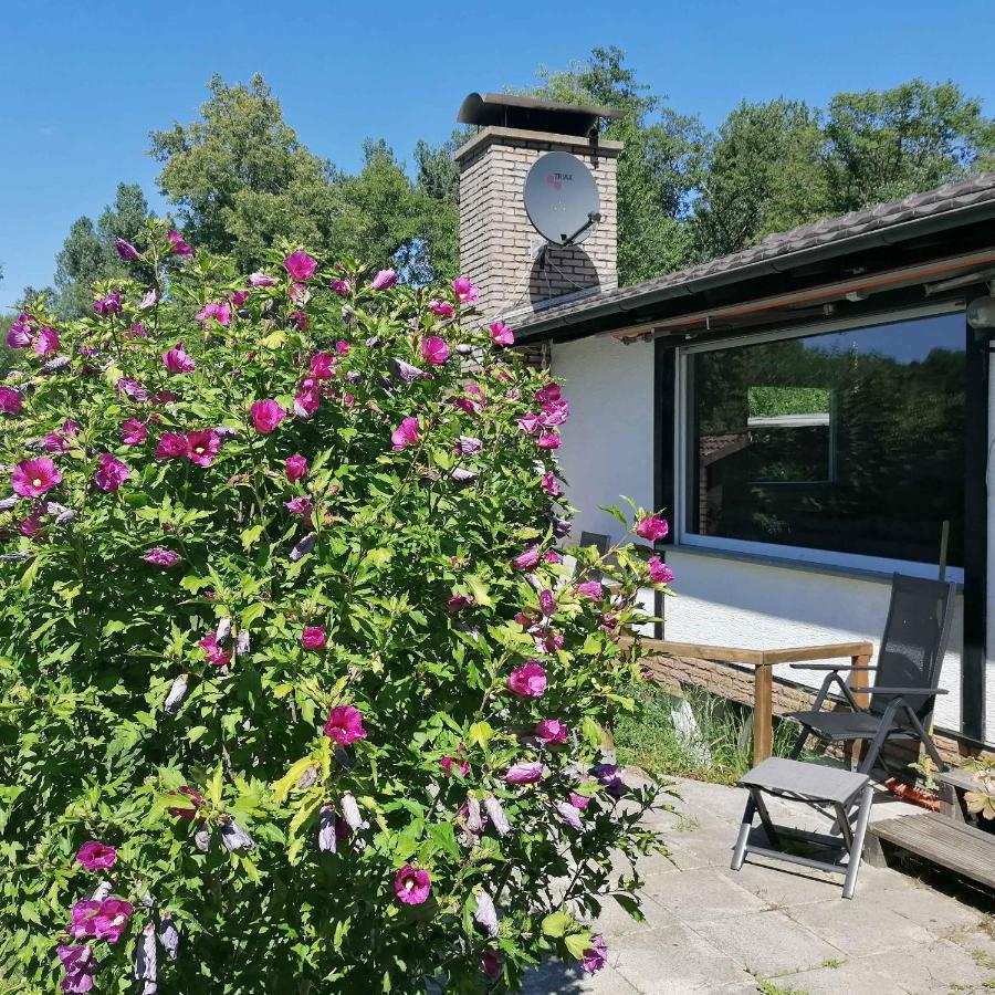 Ferienhaus Gluecksmomente Möhnesee Exterior foto